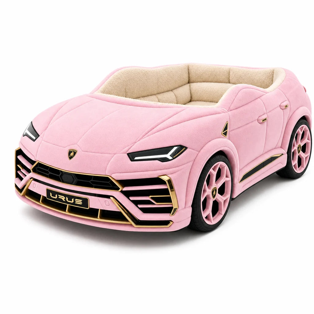 Luxury Car Beds for Babies