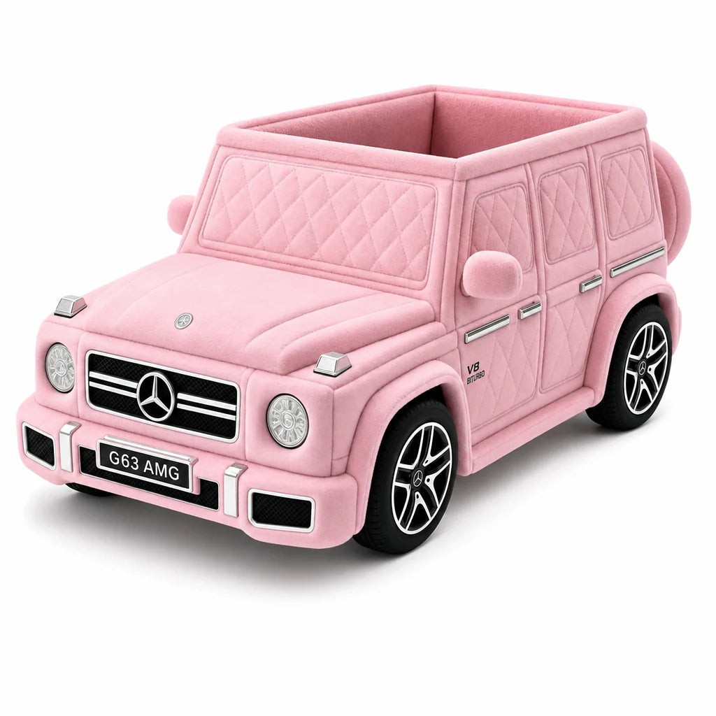 Luxury Car Beds for Babies