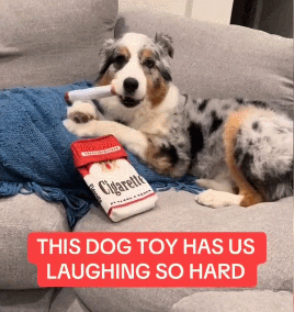 💥💫Funny Interactive Giggle Sound Plush Cigarette Dog Toy